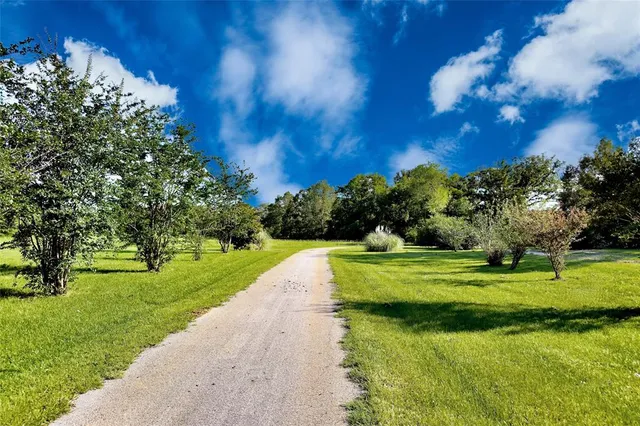 a view of a big yard with swimming pool and green space