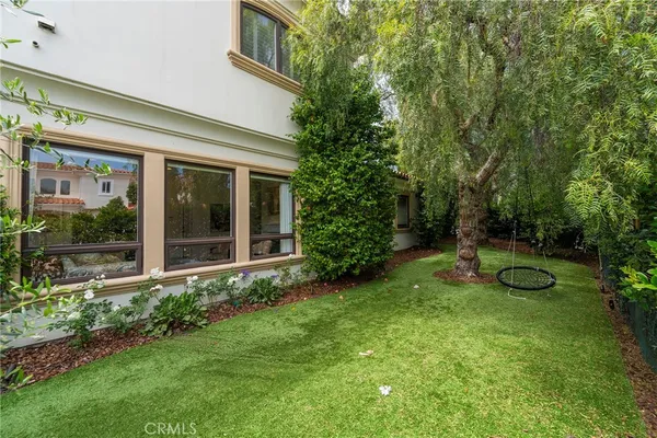a view of a yard with plants and a tree