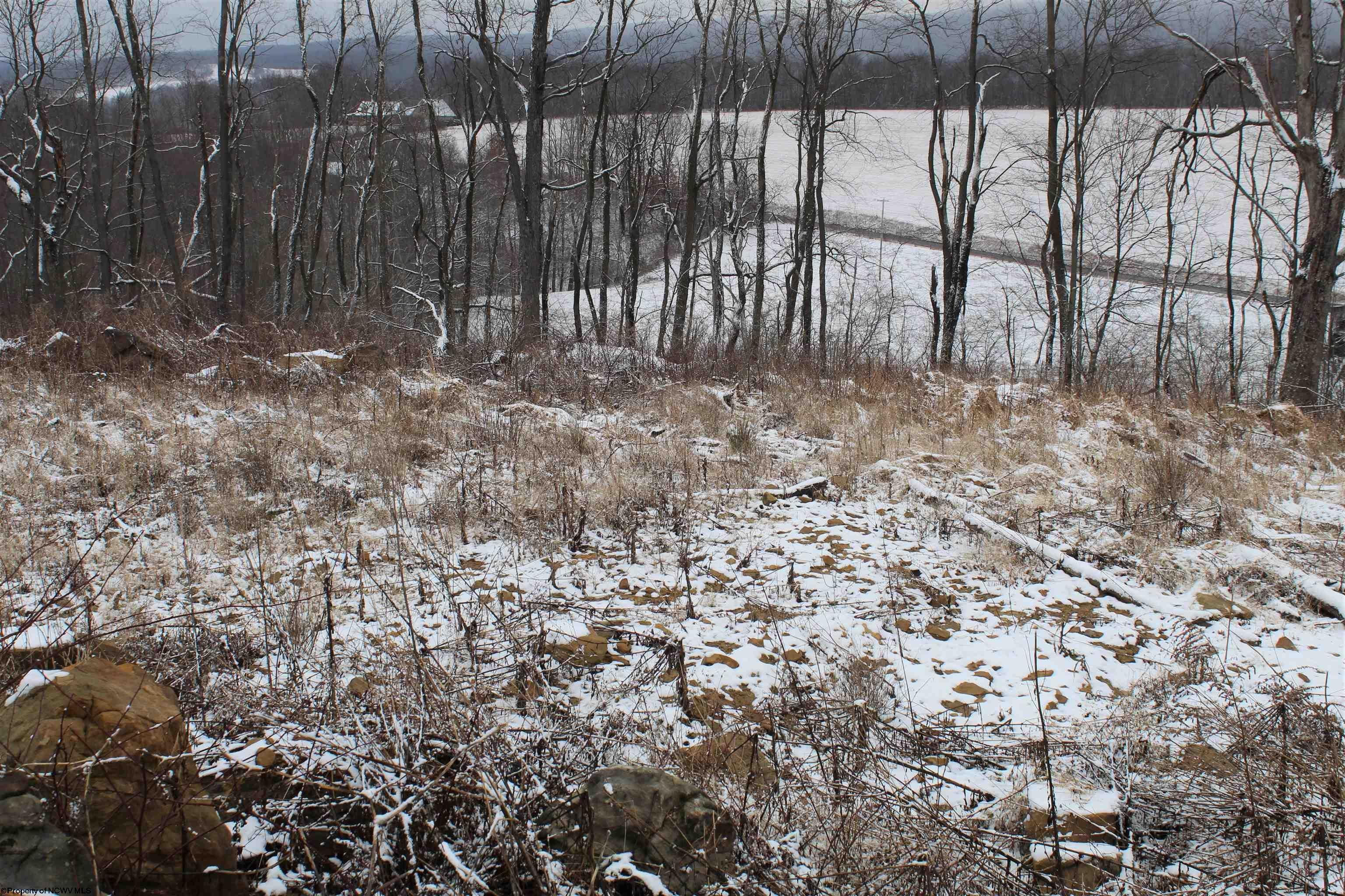 7-acres Coal Lick Road Albright, WV 26519 - Photo 10 of 10 Gallery Image 10