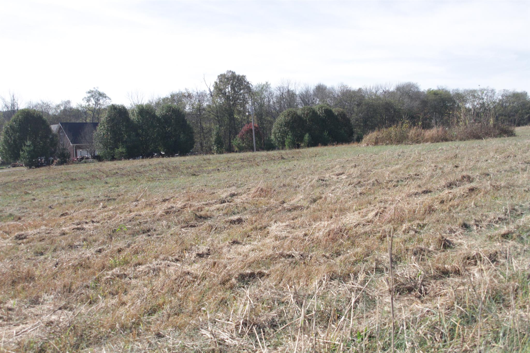 2716 Henry Gower Road Pleasant View, TN 37146 - Photo 1 of 8 Gallery Image 1