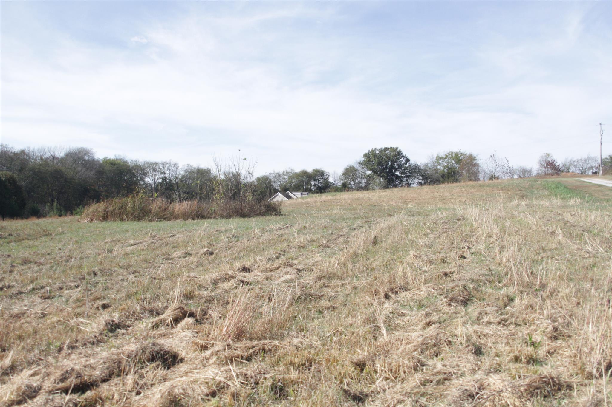 2716 Henry Gower Road Pleasant View, TN 37146 - Photo 2 of 8 Gallery Image 2