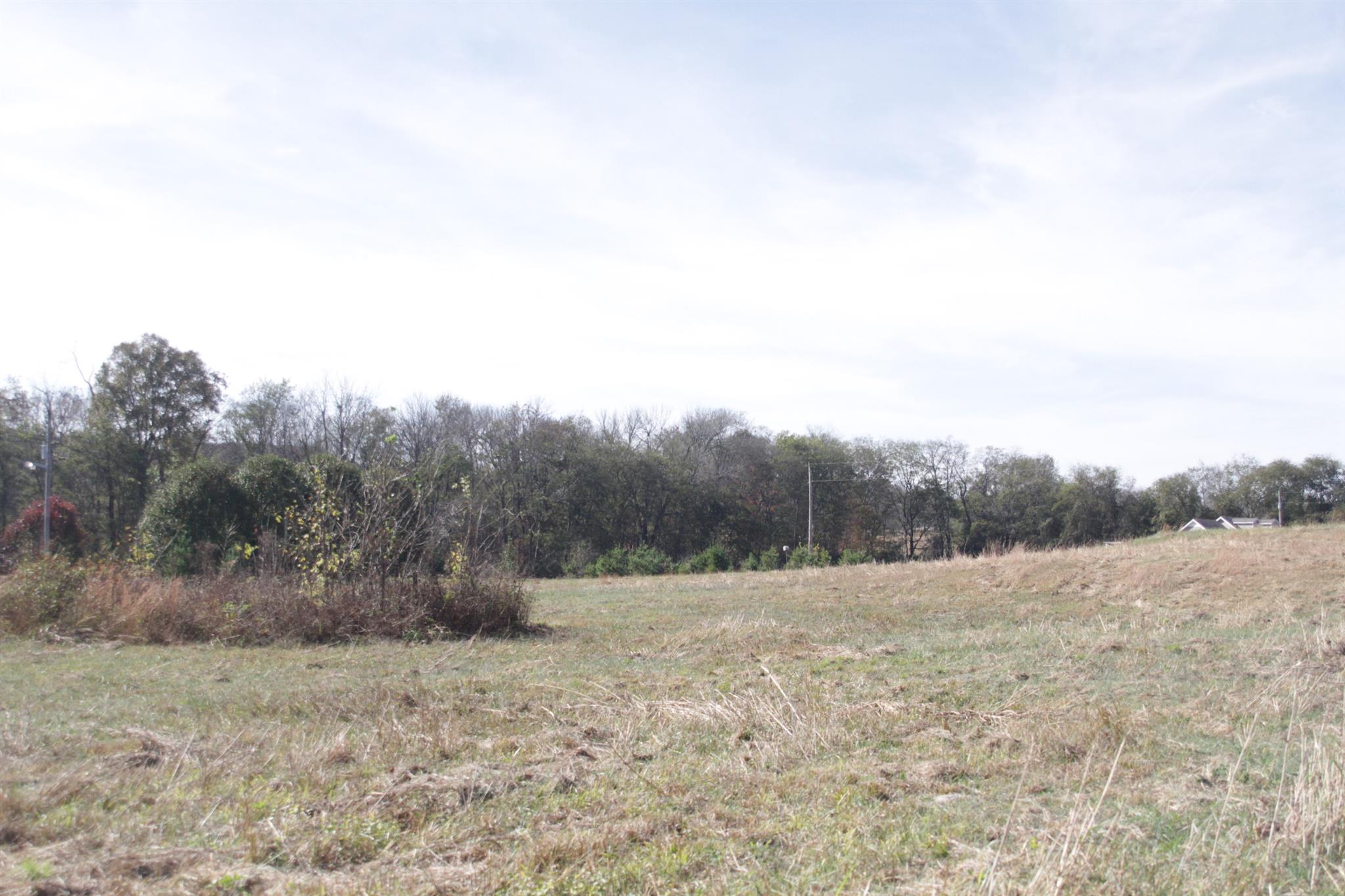 2716 Henry Gower Road Pleasant View, TN 37146 - Photo 5 of 8 Gallery Image 5