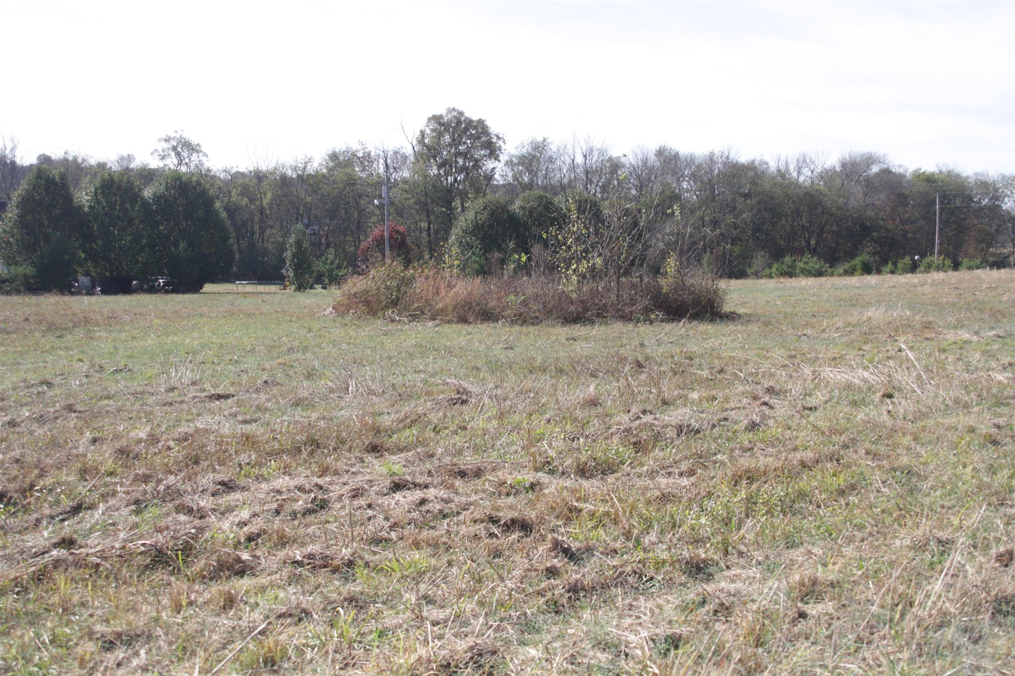 2716 Henry Gower Road Pleasant View, TN 37146 - Photo 6 of 8 Gallery Image 6