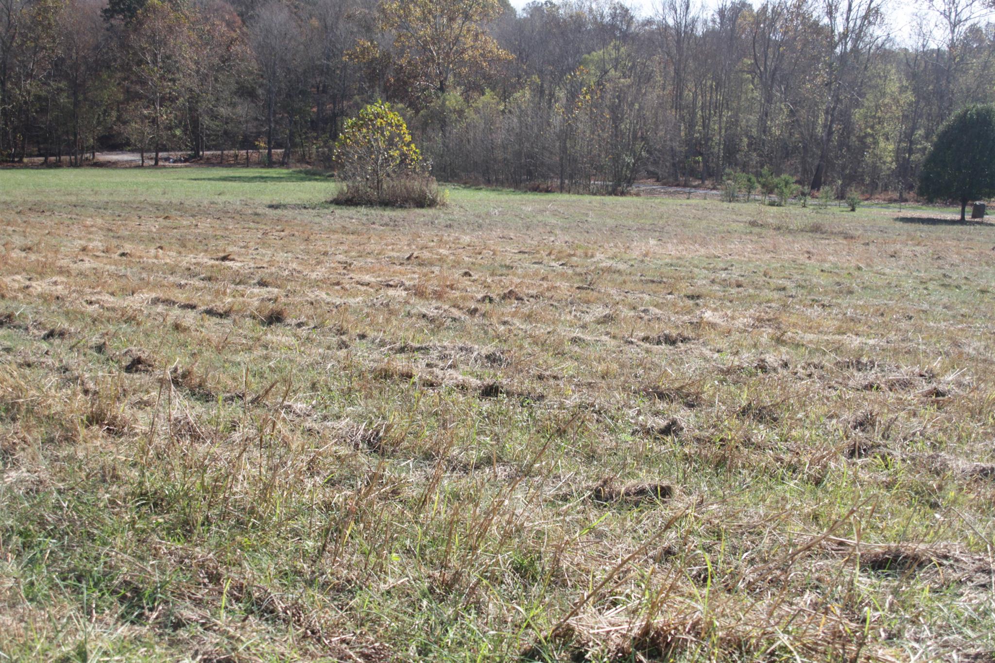 2716 Henry Gower Road Pleasant View, TN 37146 - Photo 8 of 8 Gallery Image 8