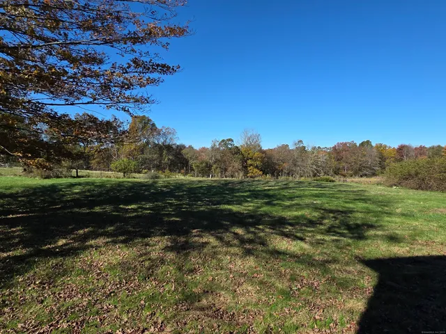 a view of a field with an trees