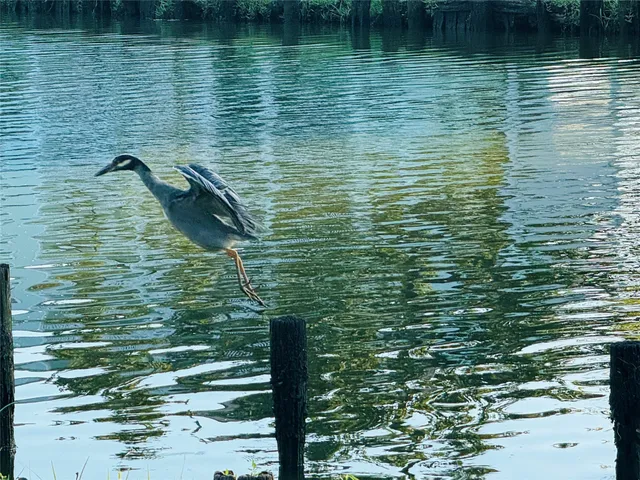 $4,800 | 3936 Wagon Road, Dickinson, TX 77539