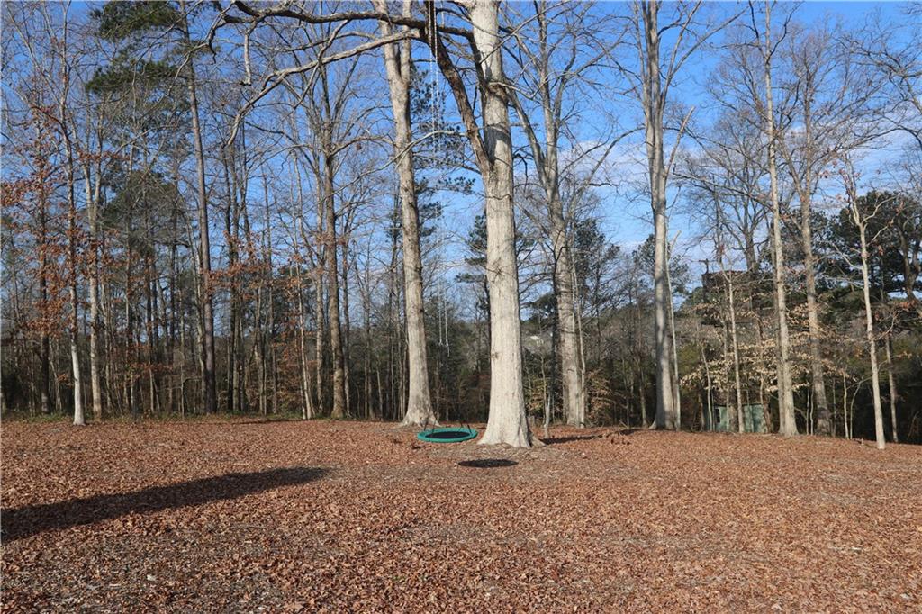 3251 Lenora Church Road Snellville, GA 30039 - Photo 45 of 48 a backyard of a house with lots of green space