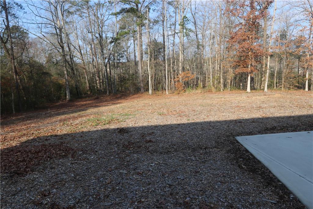 3251 Lenora Church Road Snellville, GA 30039 - Photo 47 of 48 a view of a yard with large trees