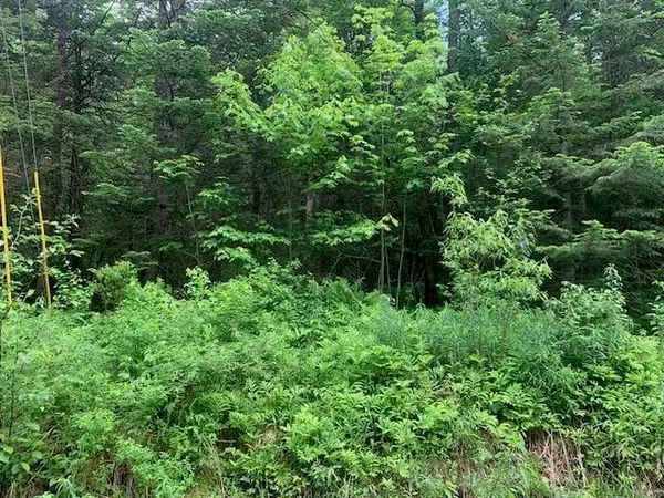 $79,000 | Tbd Griffin Road, Stewartstown, NH 03576