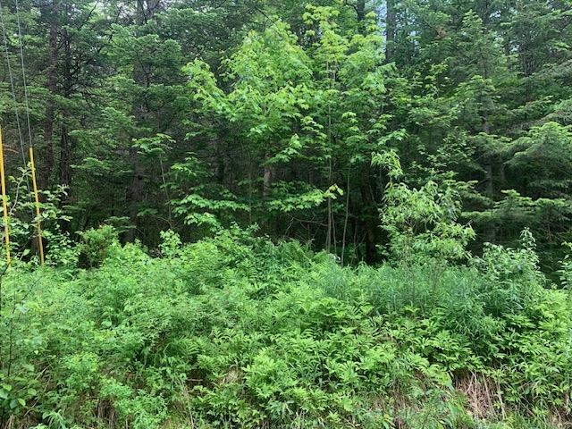 Tbd Griffin Road Stewartstown, NH 03576 - Photo 1 of 5