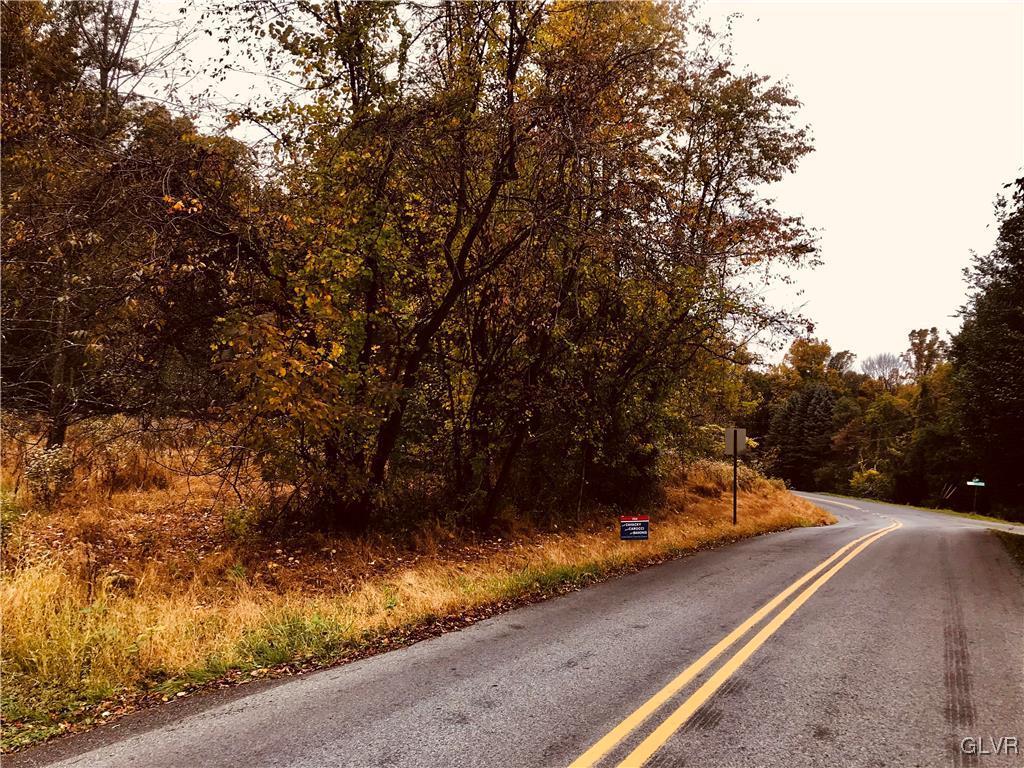 Crestline Drive Hellertown, PA 18055 - Photo 3 of 5 a view of a yard with potted plants