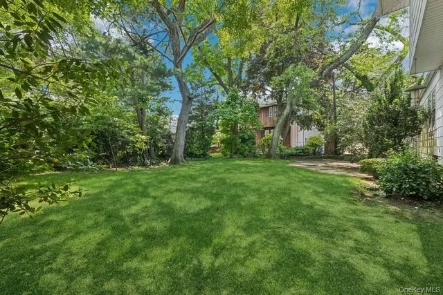 a view of yard with green space