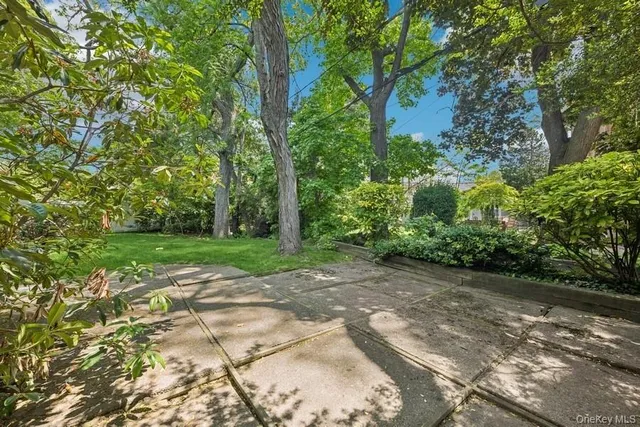 a view of a yard with plants and large trees