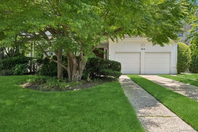 a view of a yard in front of a house with plants and large tree