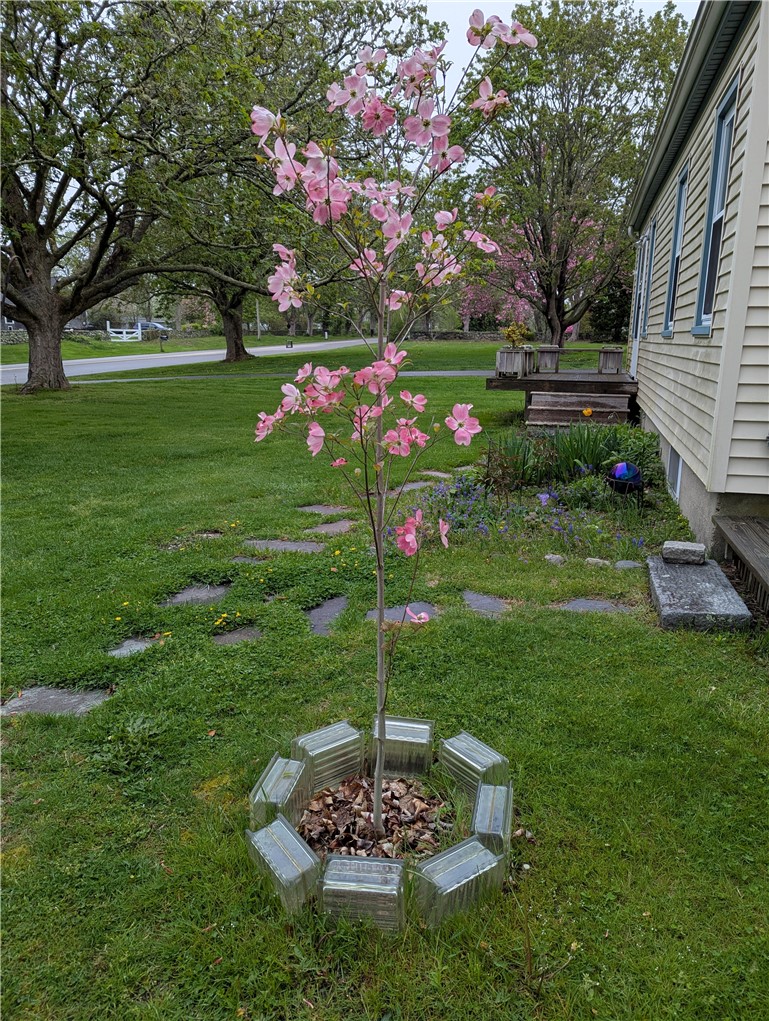 138 Willow Avenue Little Compton, RI 02837 - Photo 2 of 28 Summertime