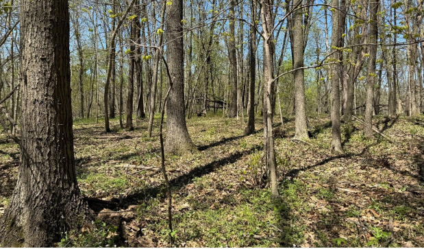 2220 Anne Lane Crete, IL 60417 - Photo 11 of 16 a view of a backyard
