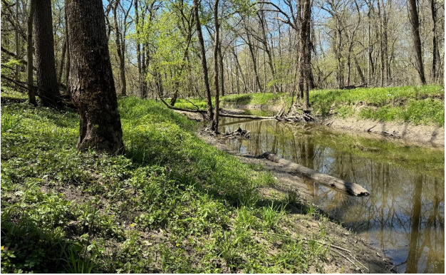 2220 Anne Lane Crete, IL 60417 - Photo 12 of 16 a view of a garden