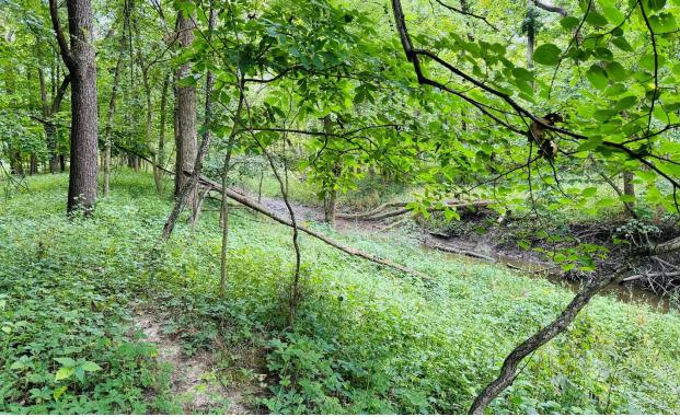 2220 Anne Lane Crete, IL 60417 - Photo 14 of 16 a backyard of a house with lots of green space
