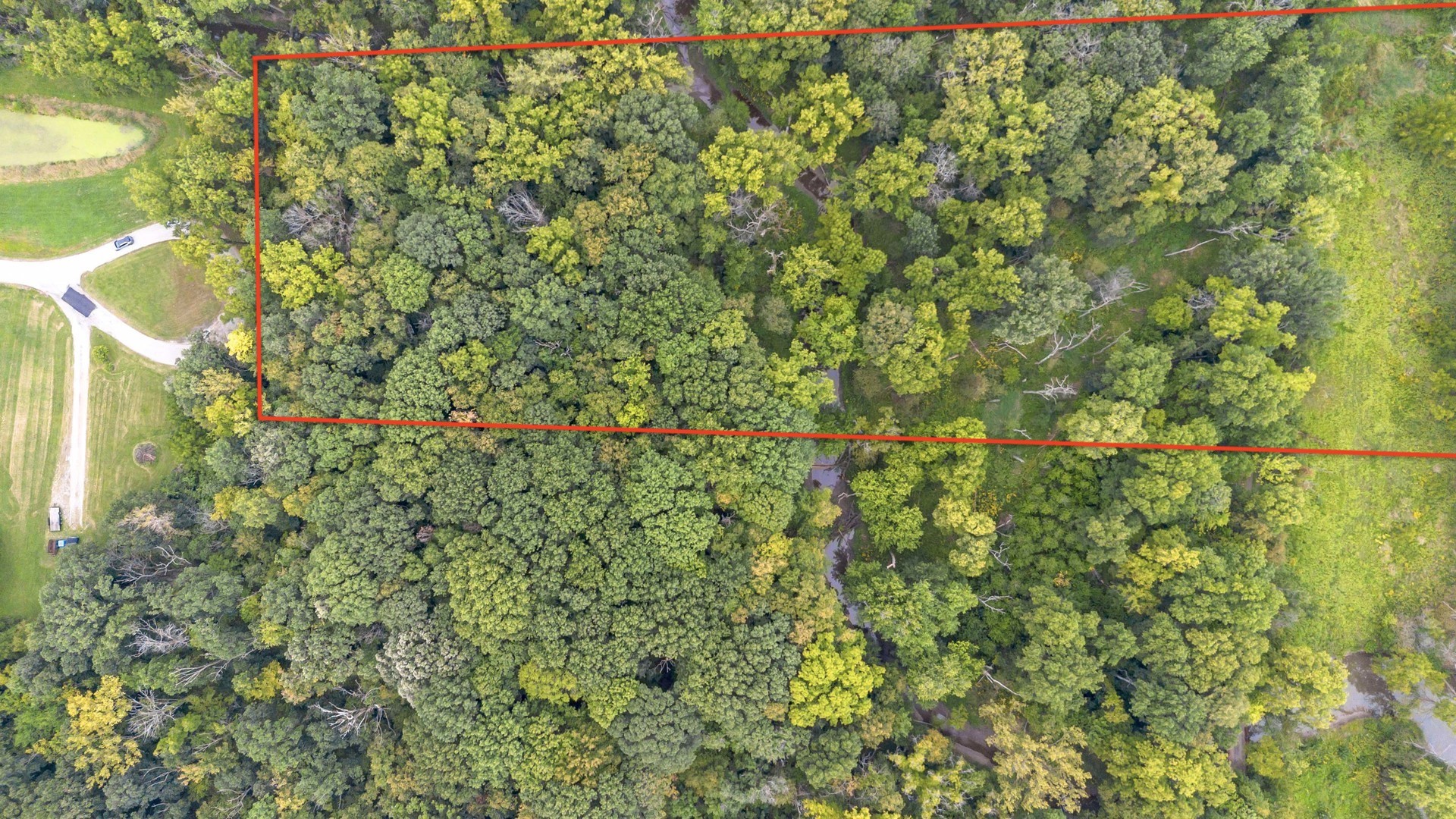 2220 Anne Lane Crete, IL 60417 - Photo 7 of 16 a view of a yard with plants