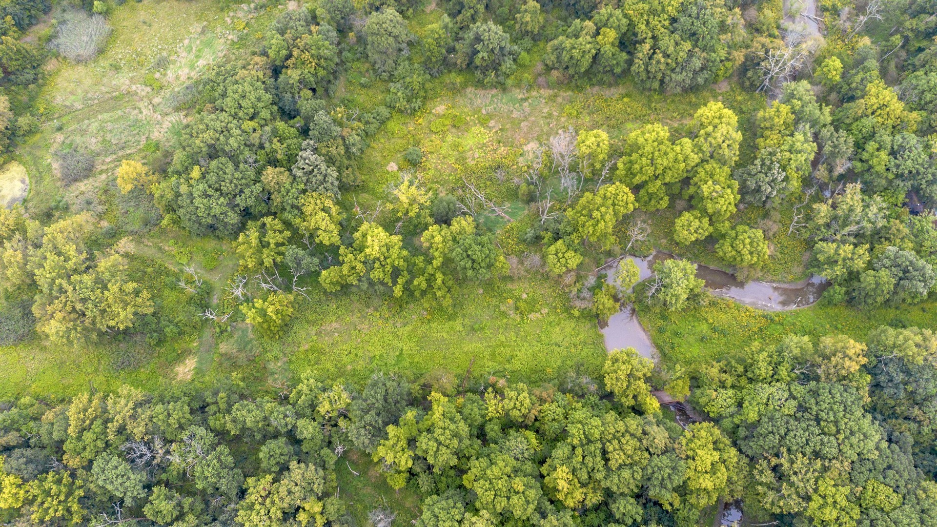 2220 Anne Lane Crete, IL 60417 - Photo 8 of 16 a view of a yard
