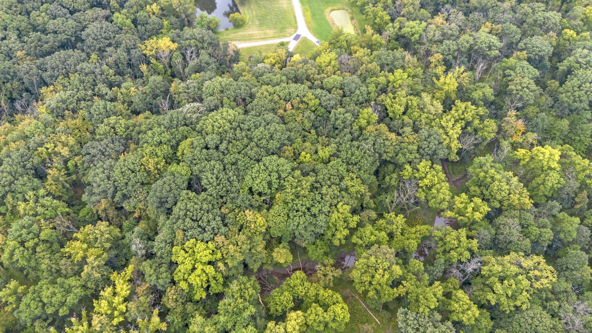2220 Anne Lane Crete, IL 60417 - Photo 9 of 16 a view of a lush green forest