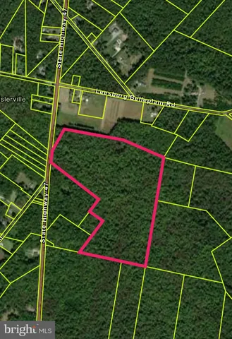 a view of an outdoor space