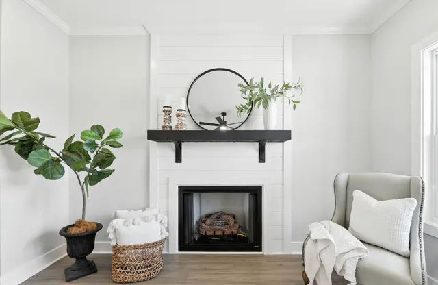a living room with furniture a potted plant and a fireplace