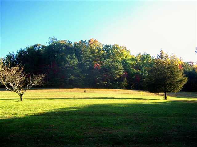 106 Shallow Creek Road Pickens, SC 29671 - Photo 22 of 25