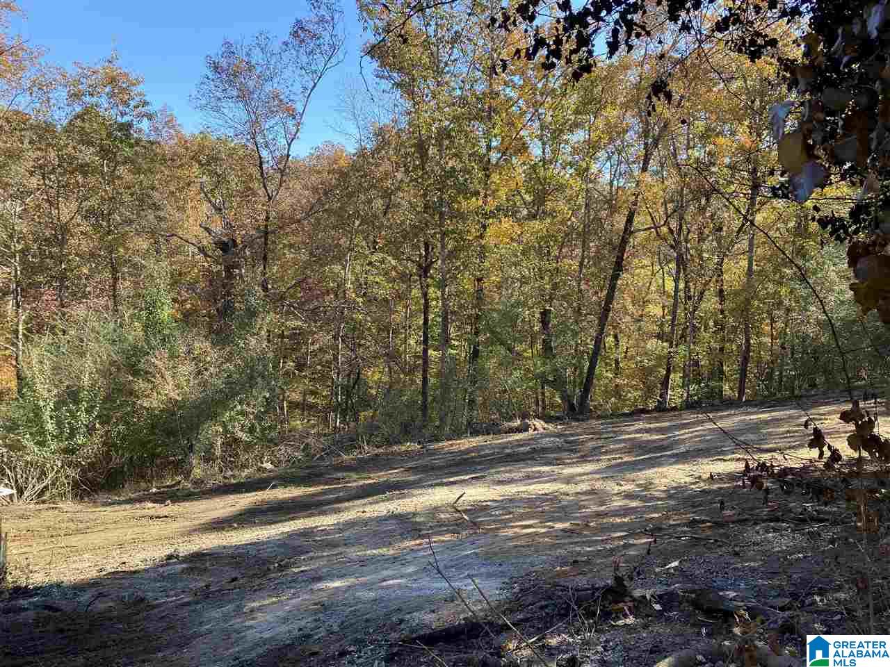 3752 County Road 331 Chelsea, AL 35043 - Photo 7 of 10