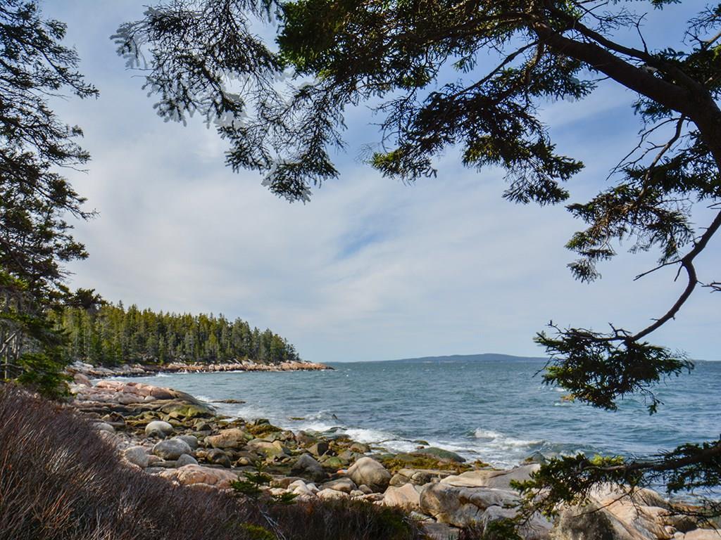 587 Jericho Bay Road Swans Island, ME 04685 - Photo 29 of 33 Coastline.