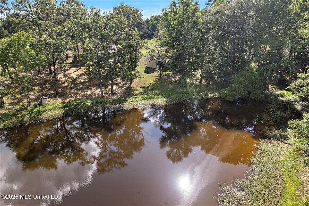 402 Springwood Circle Terry, MS 39170 - Photo 48 of 49 48-IDJI_0060