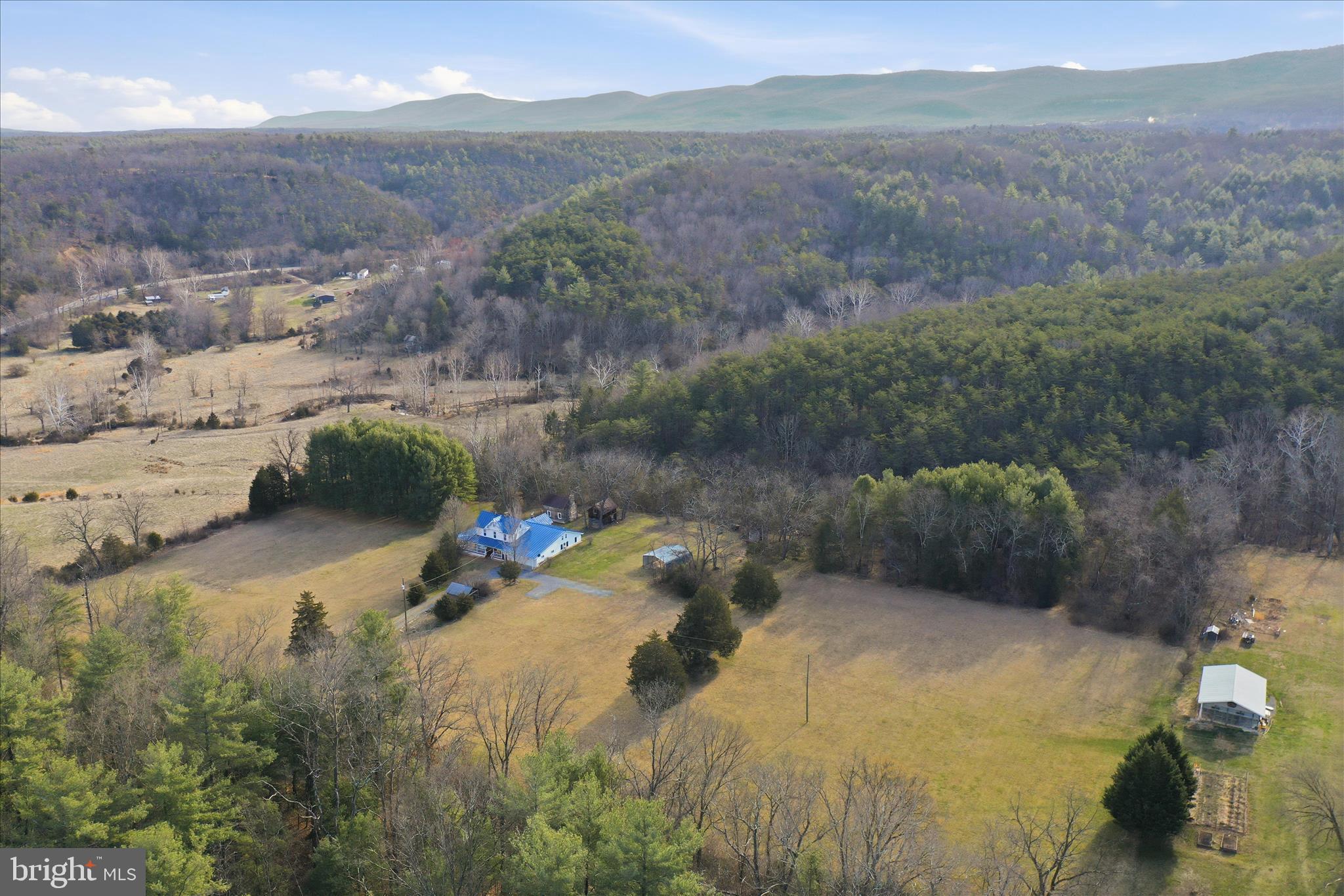 175 Clark Road Wardensville, WV 26851 - Photo 48 of 59 a view of a forest with a lake