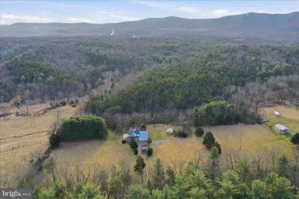 a view of a field with a mountain in the background