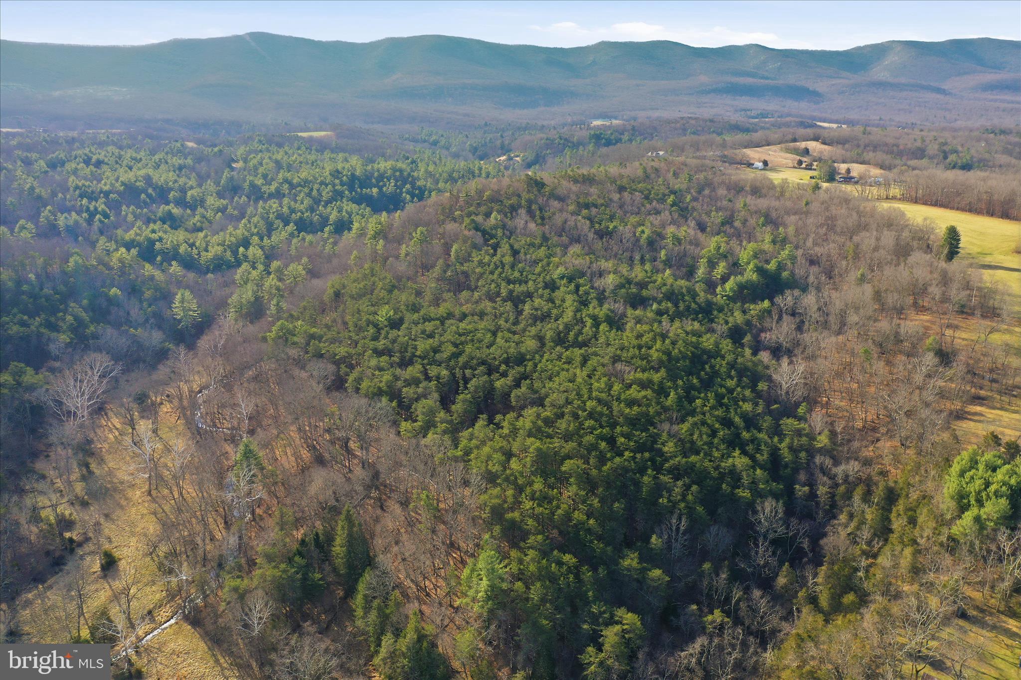 175 Clark Road Wardensville, WV 26851 - Photo 52 of 59 a view of mountain and tree