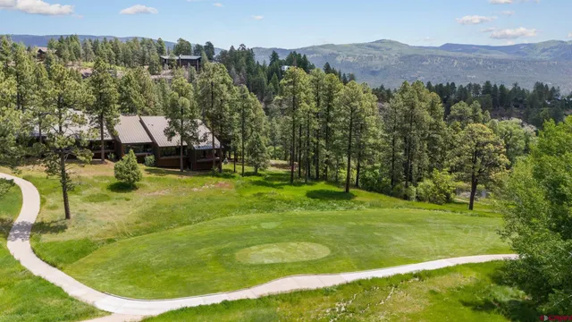 a view of a swimming pool with a yard