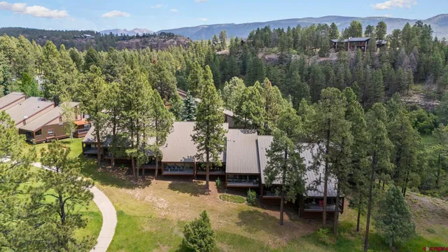 a view of a city with a mountain