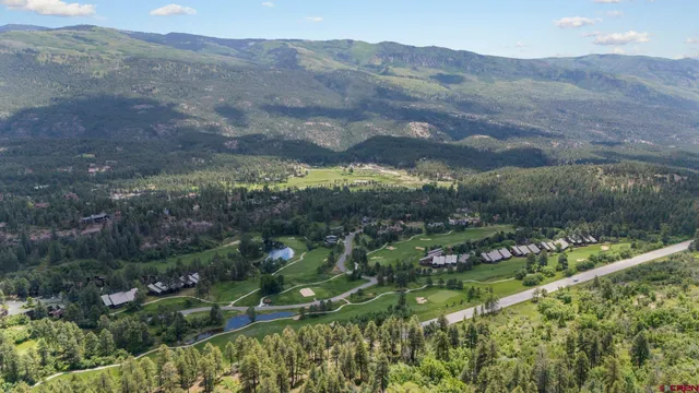 a view of a lush green hillside and houses