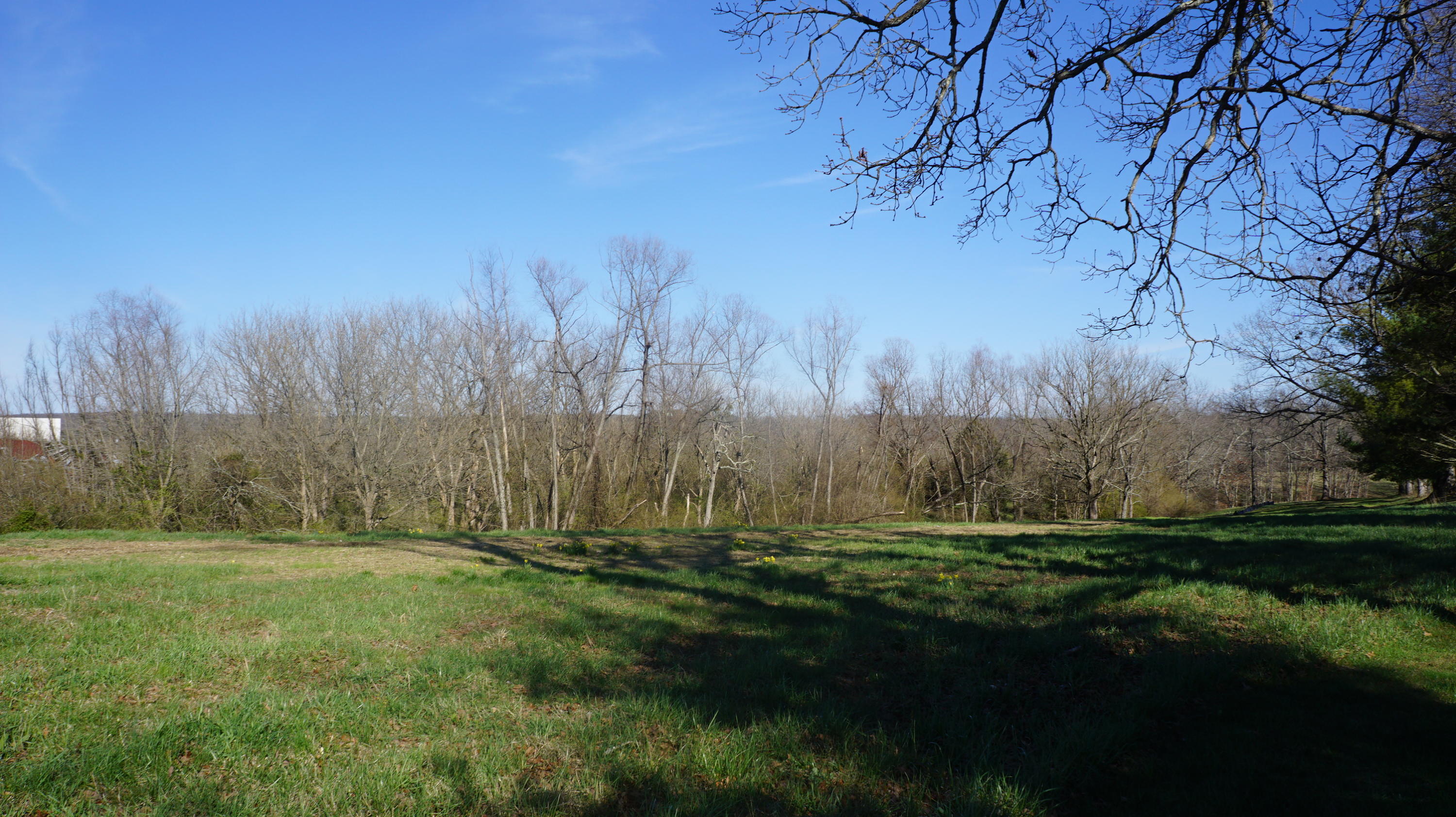 7.4-acres Genesis Road Crossville, TN 38555 - Photo 1 of 30 DSC01398
