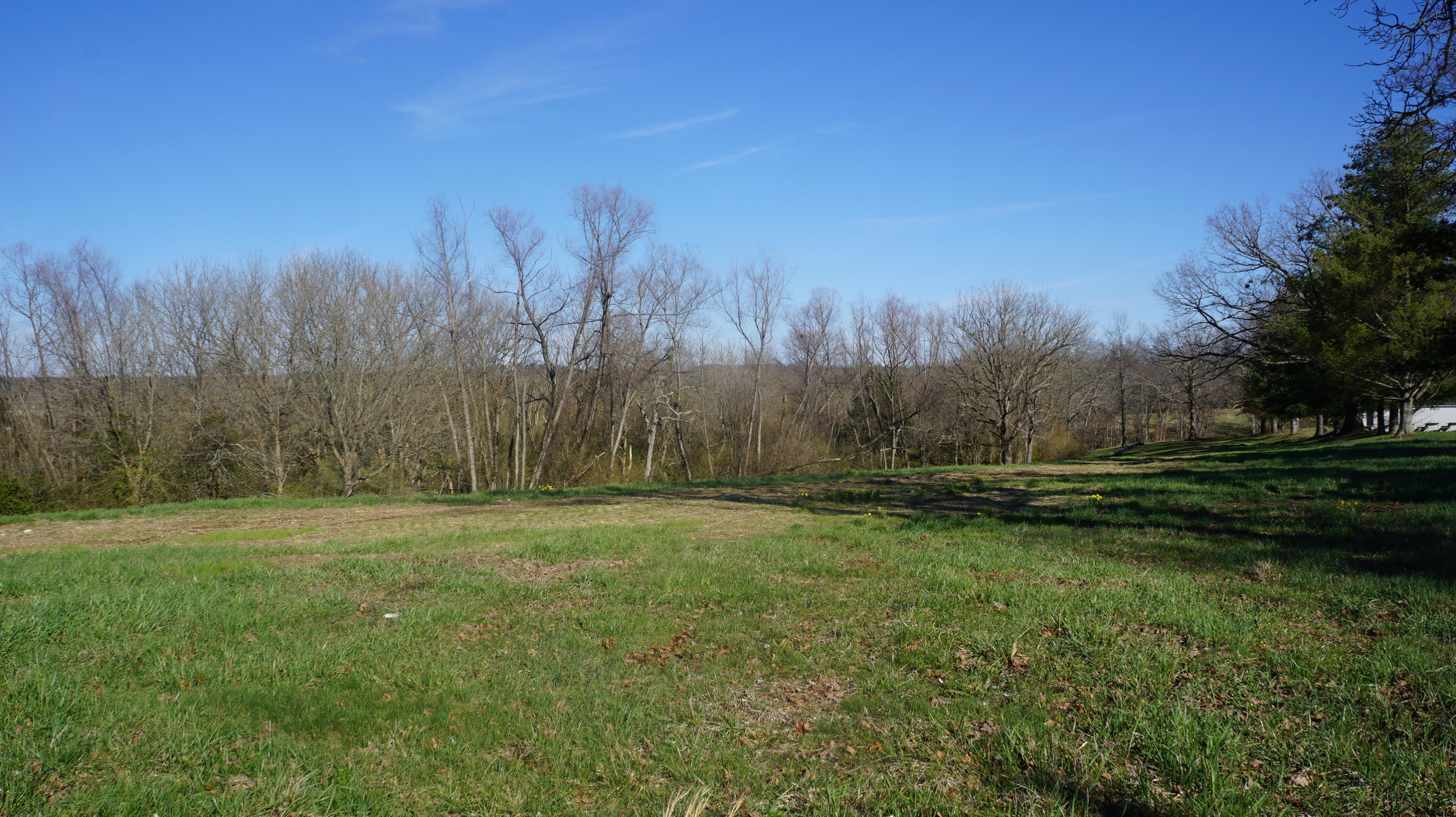 7.4-acres Genesis Road Crossville, TN 38555 - Photo 2 of 30 DSC01399