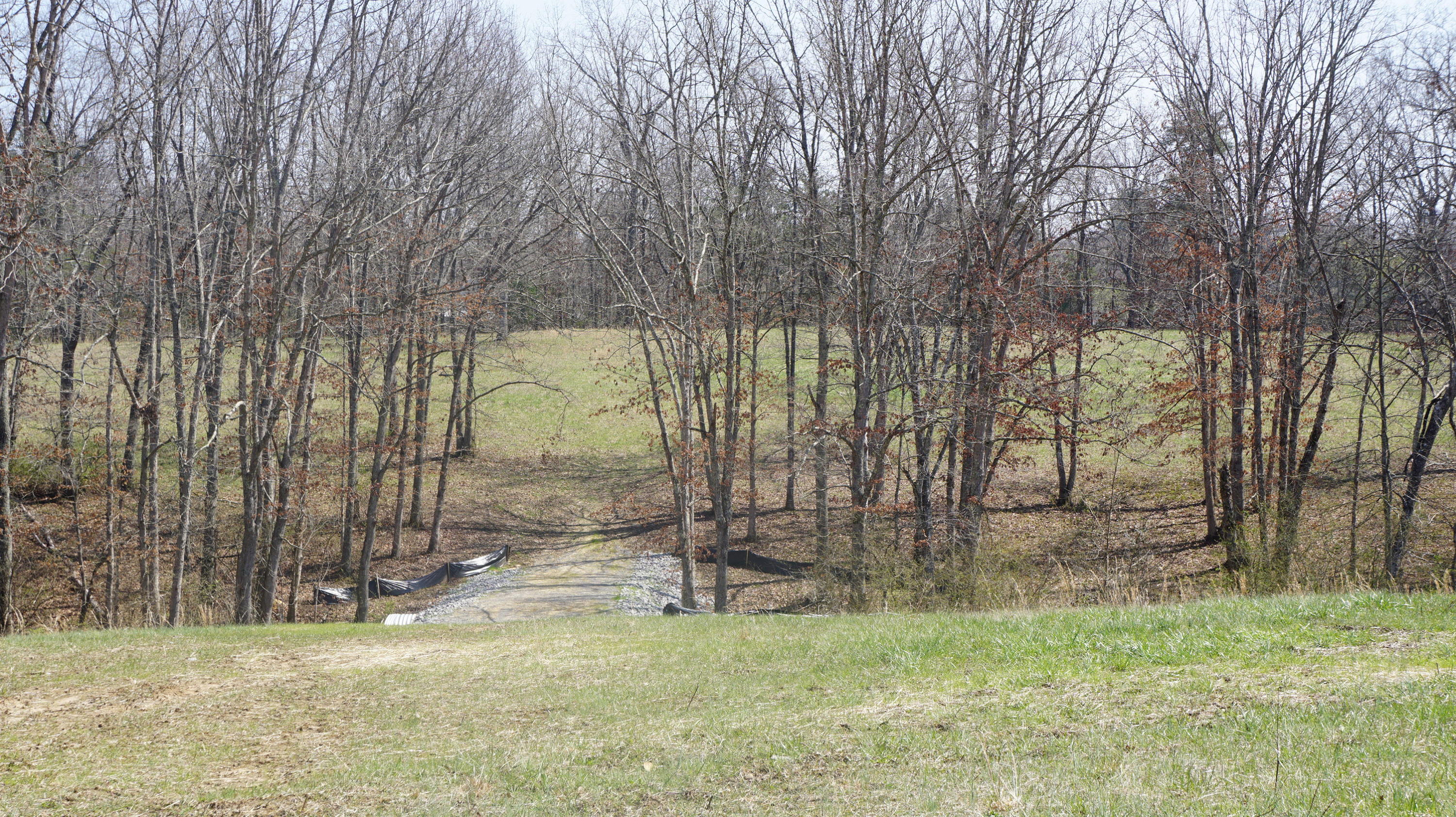 7.4-acres Genesis Road Crossville, TN 38555 - Photo 11 of 30 DSC01408