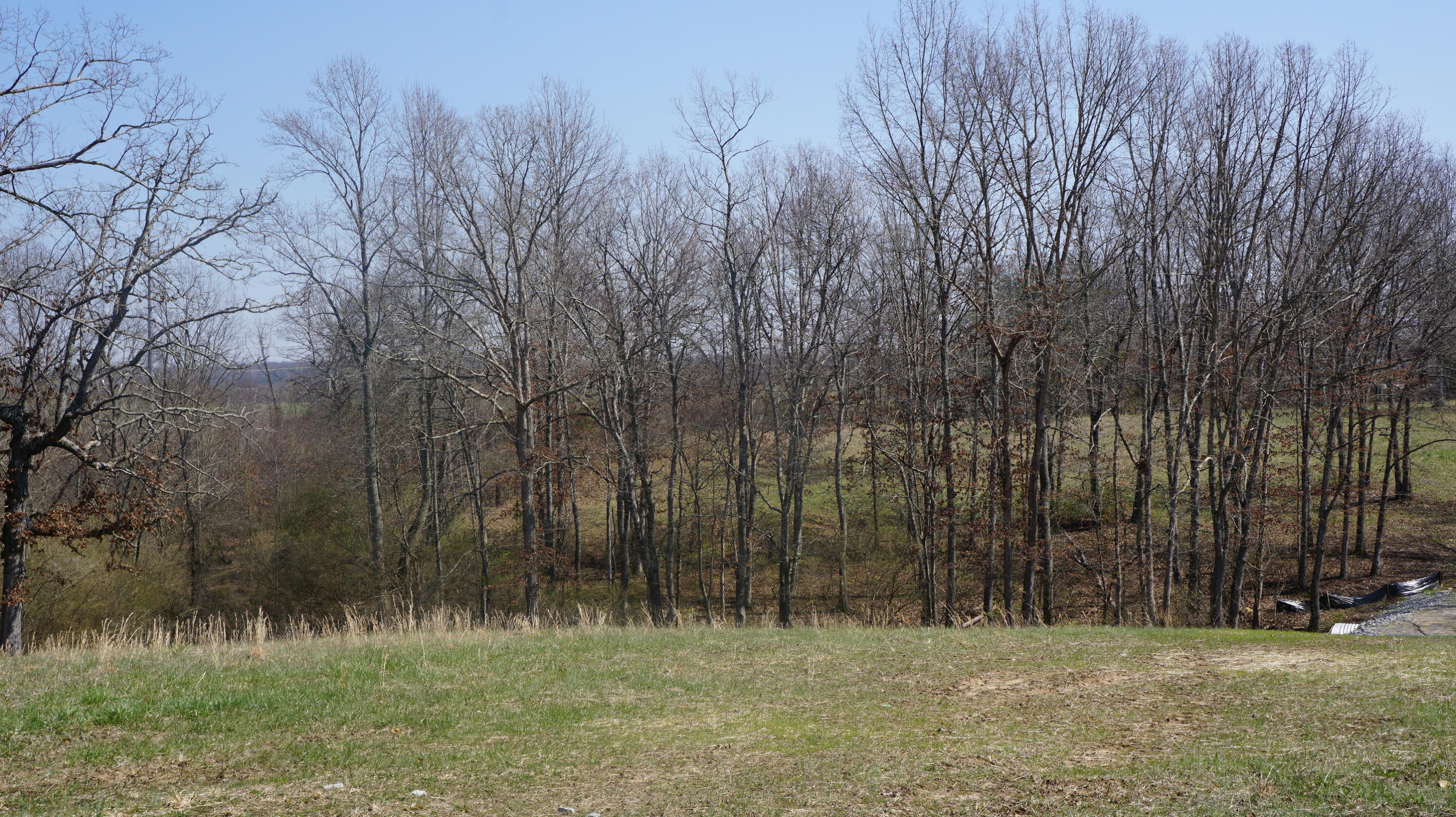 7.4-acres Genesis Road Crossville, TN 38555 - Photo 12 of 30 DSC01409