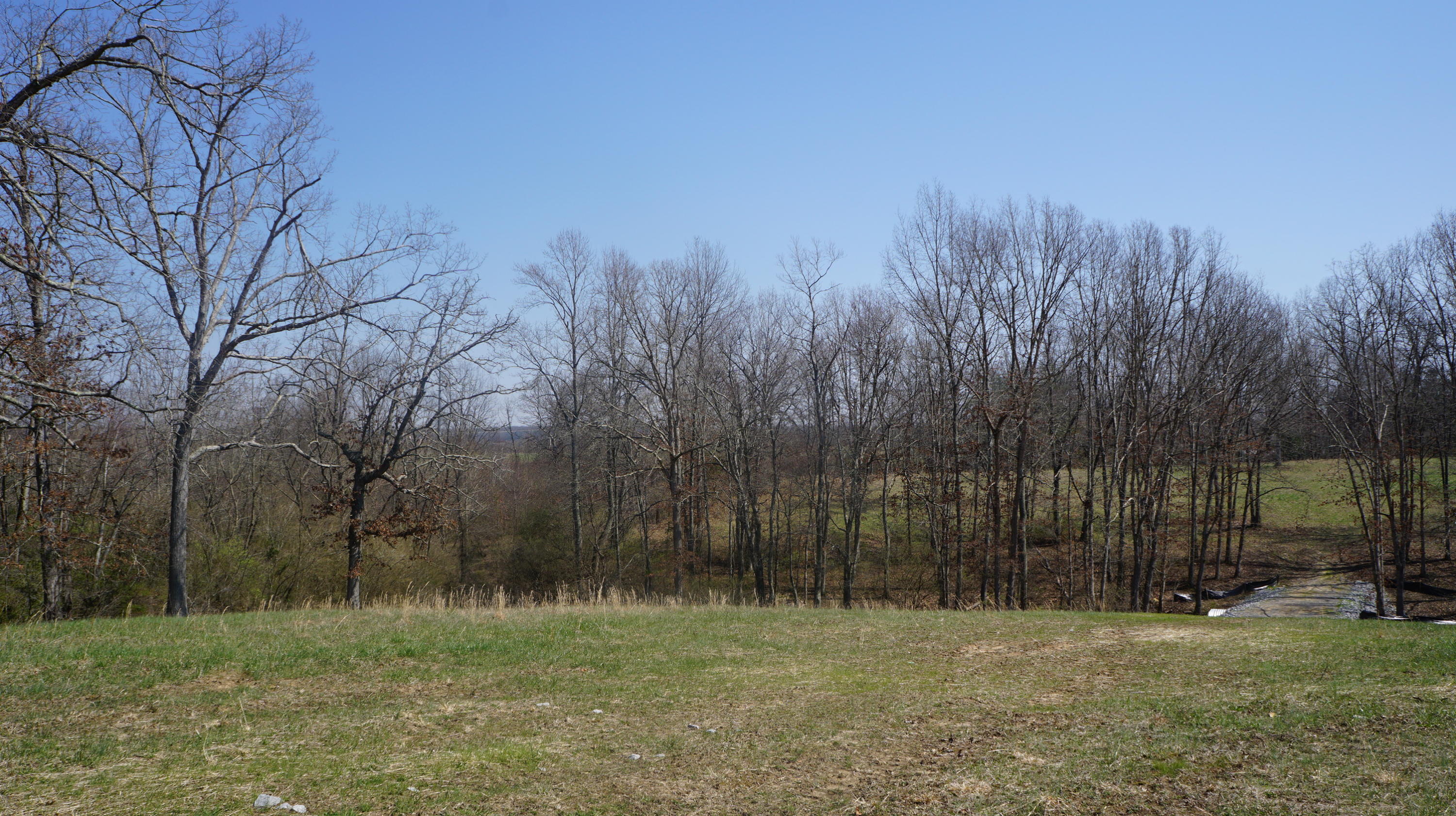 7.4-acres Genesis Road Crossville, TN 38555 - Photo 13 of 30 DSC01410
