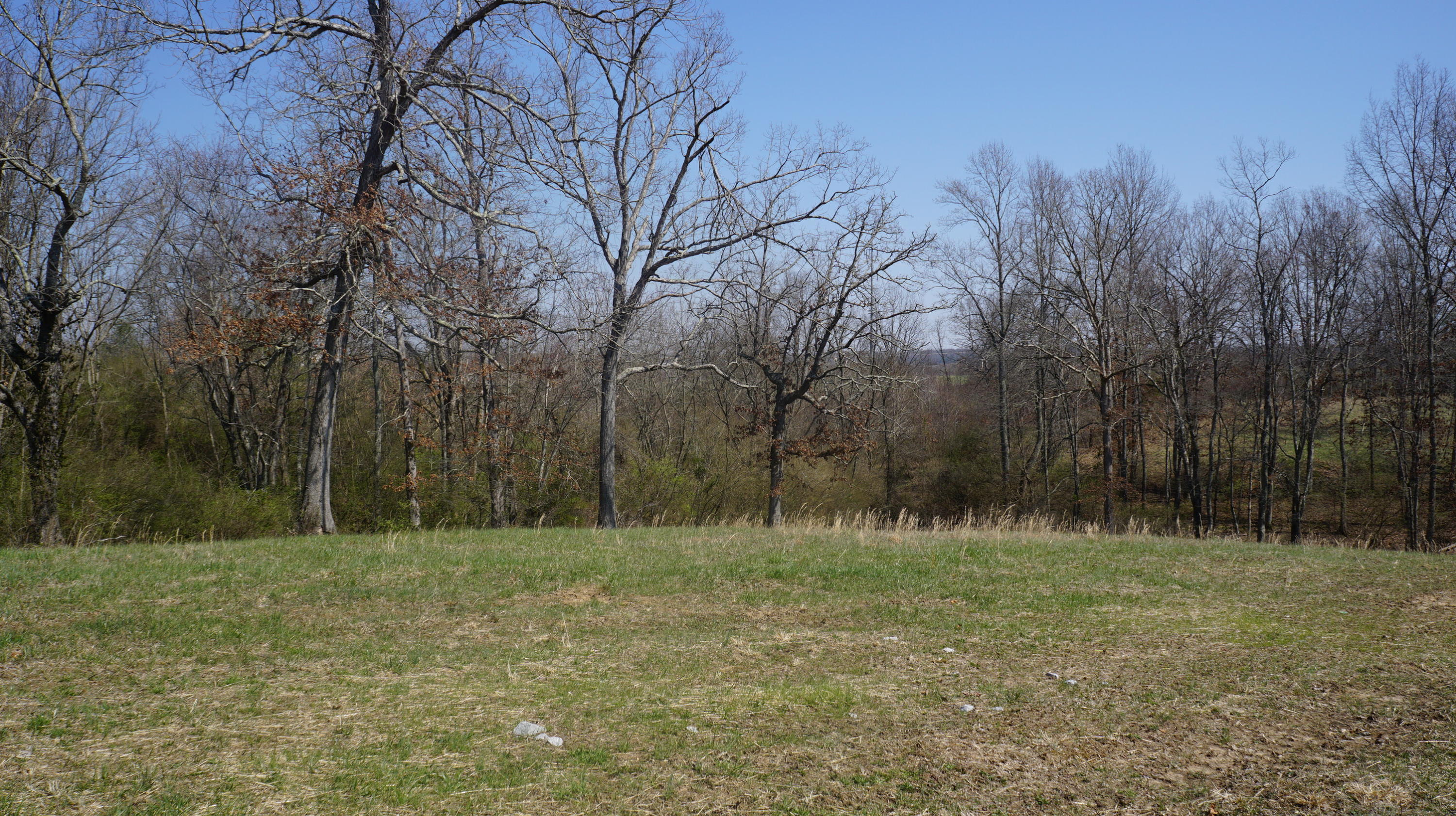 7.4-acres Genesis Road Crossville, TN 38555 - Photo 14 of 30 DSC01411