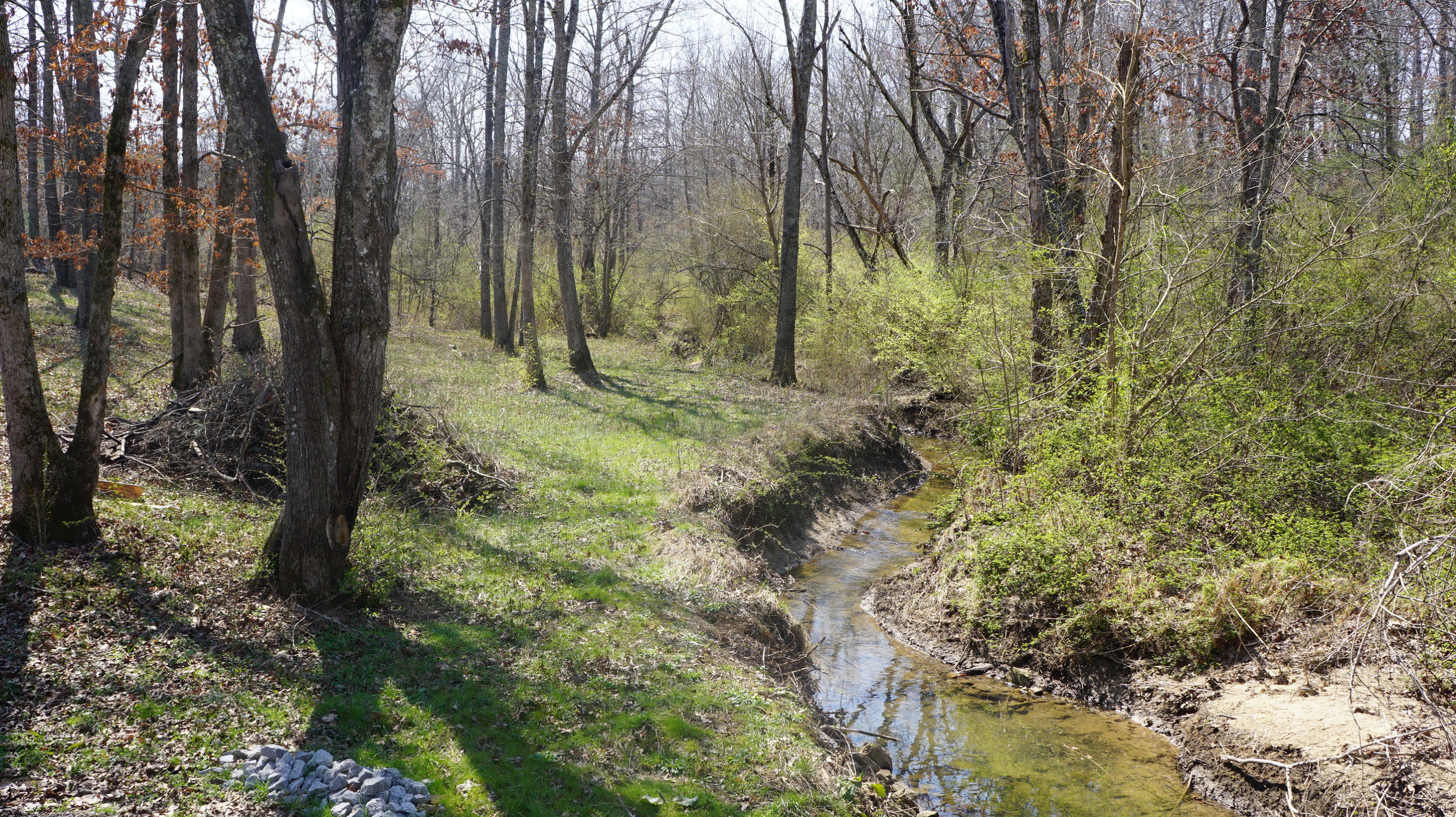 7.4-acres Genesis Road Crossville, TN 38555 - Photo 15 of 30 DSC01412