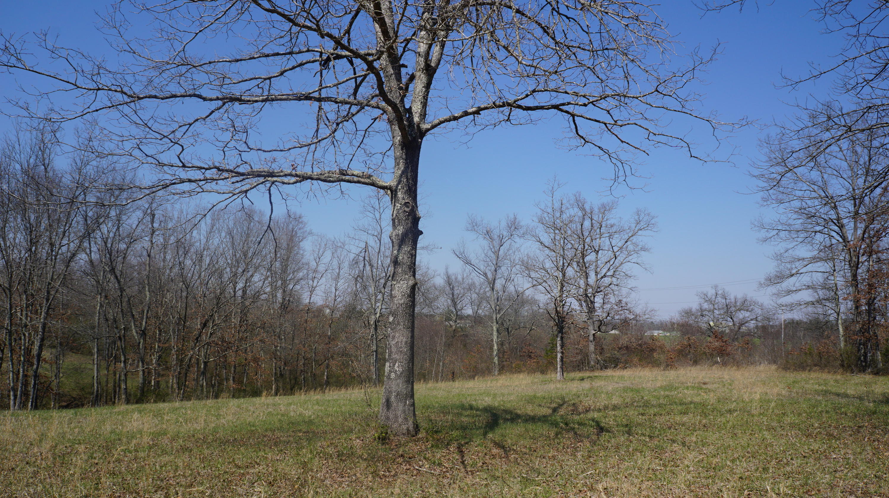 7.4-acres Genesis Road Crossville, TN 38555 - Photo 16 of 30 DSC01413