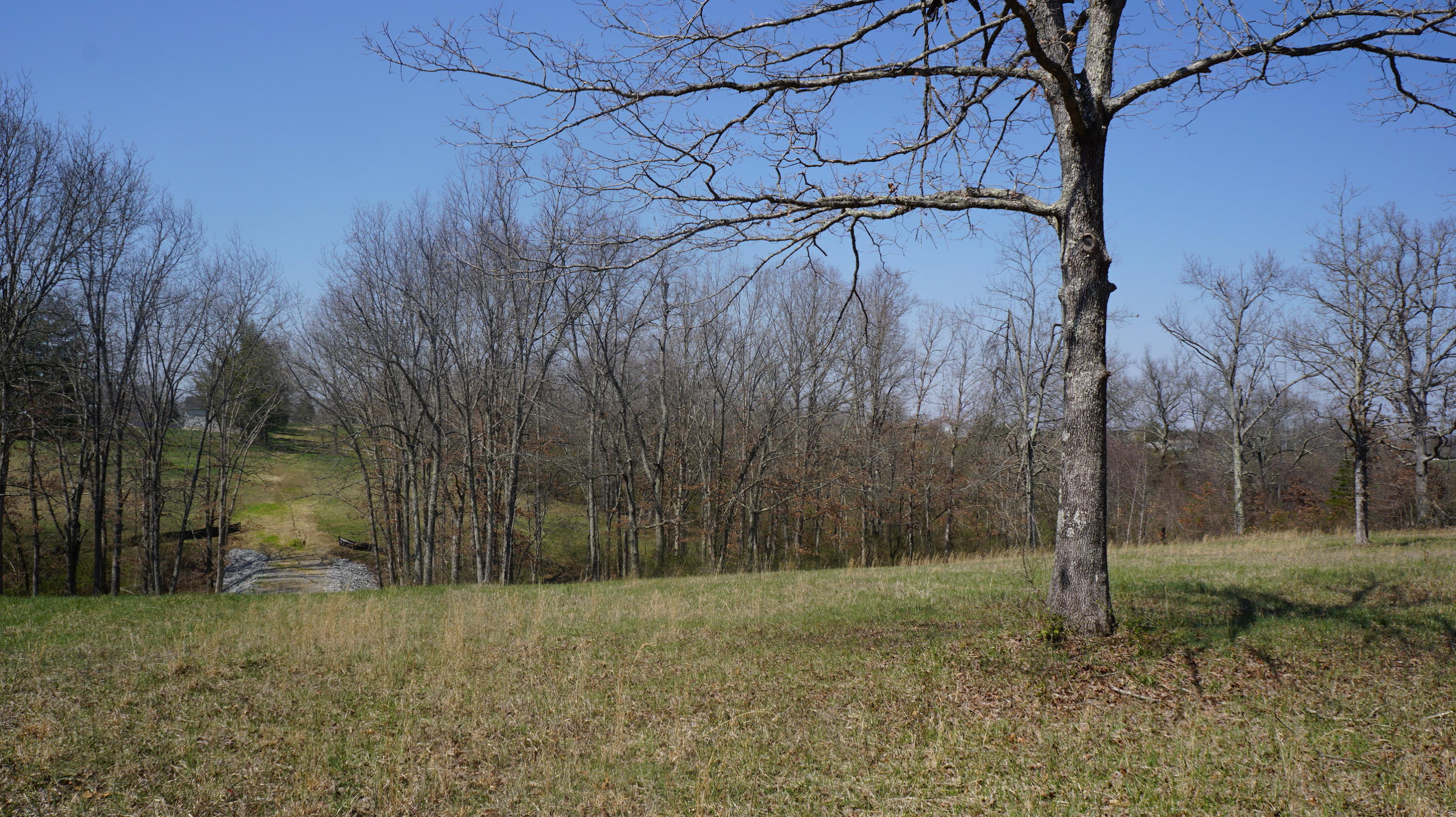 7.4-acres Genesis Road Crossville, TN 38555 - Photo 17 of 30 DSC01414