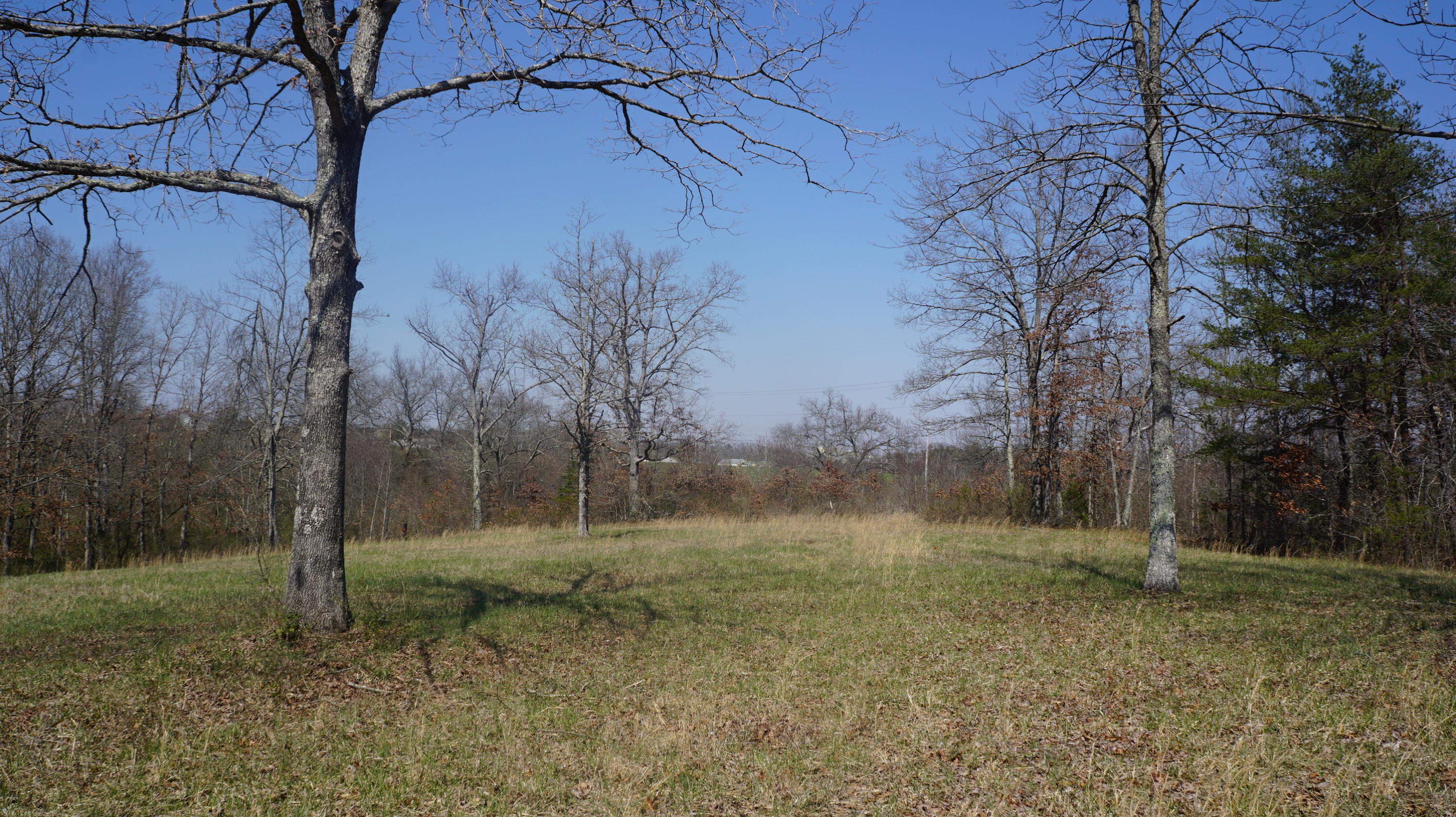 7.4-acres Genesis Road Crossville, TN 38555 - Photo 18 of 30 DSC01415