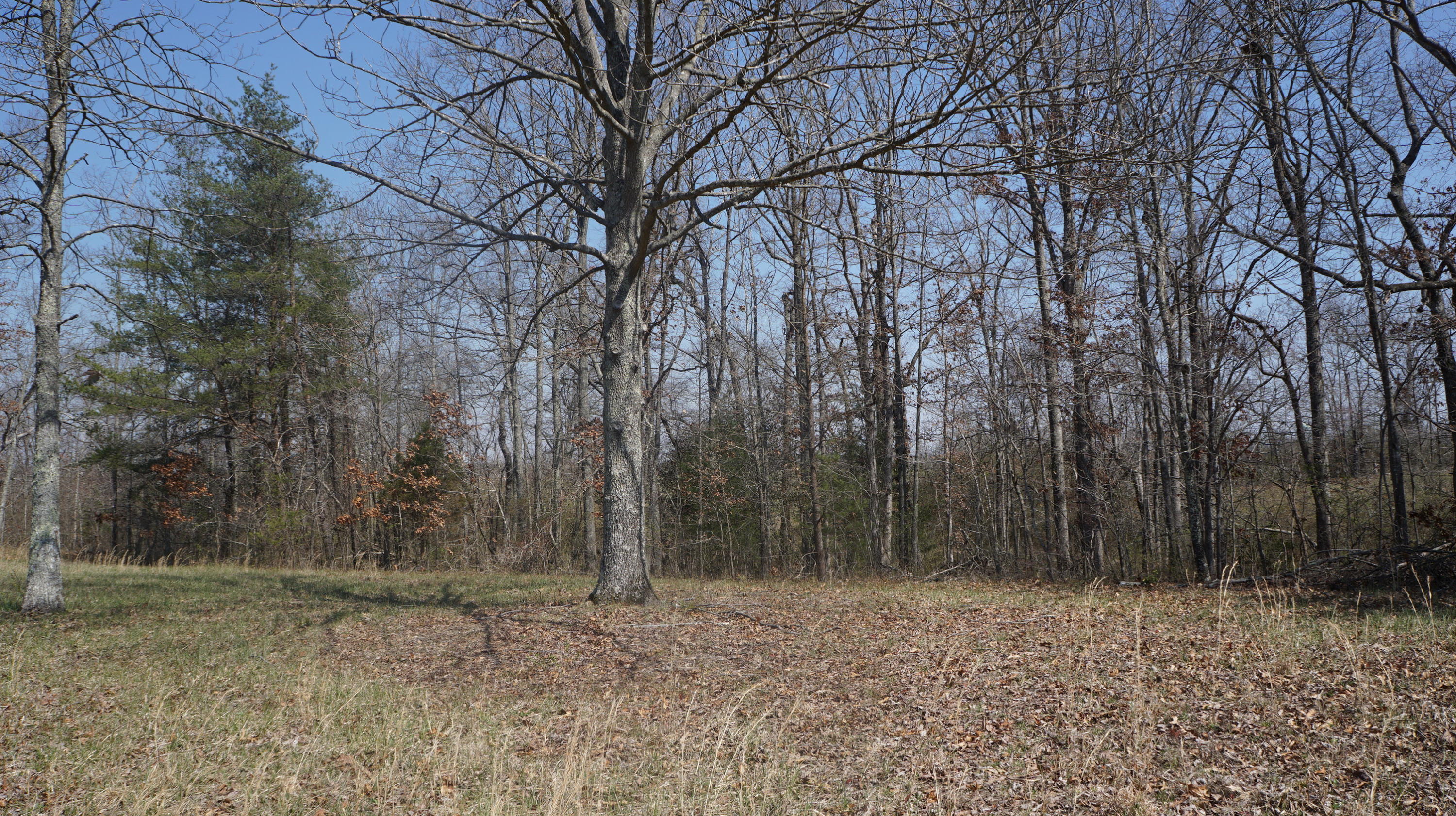 7.4-acres Genesis Road Crossville, TN 38555 - Photo 19 of 30 DSC01416
