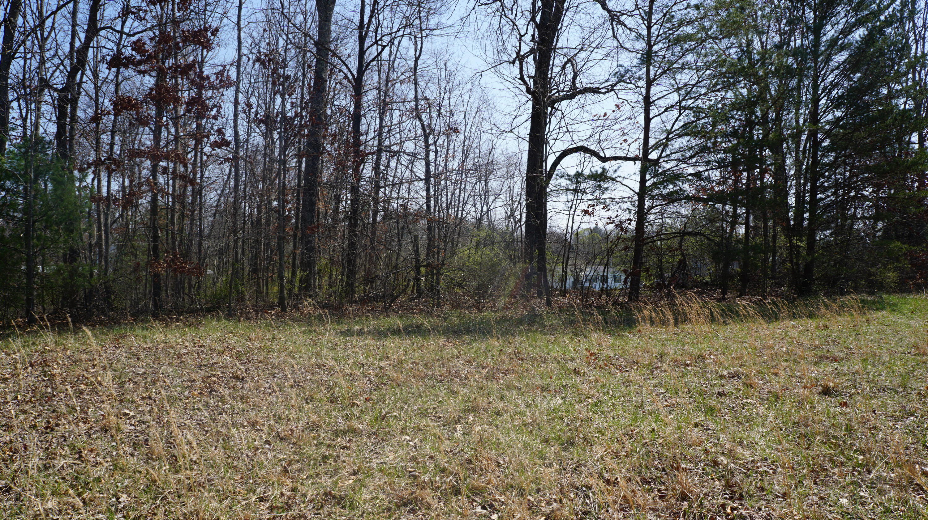 7.4-acres Genesis Road Crossville, TN 38555 - Photo 20 of 30 DSC01417