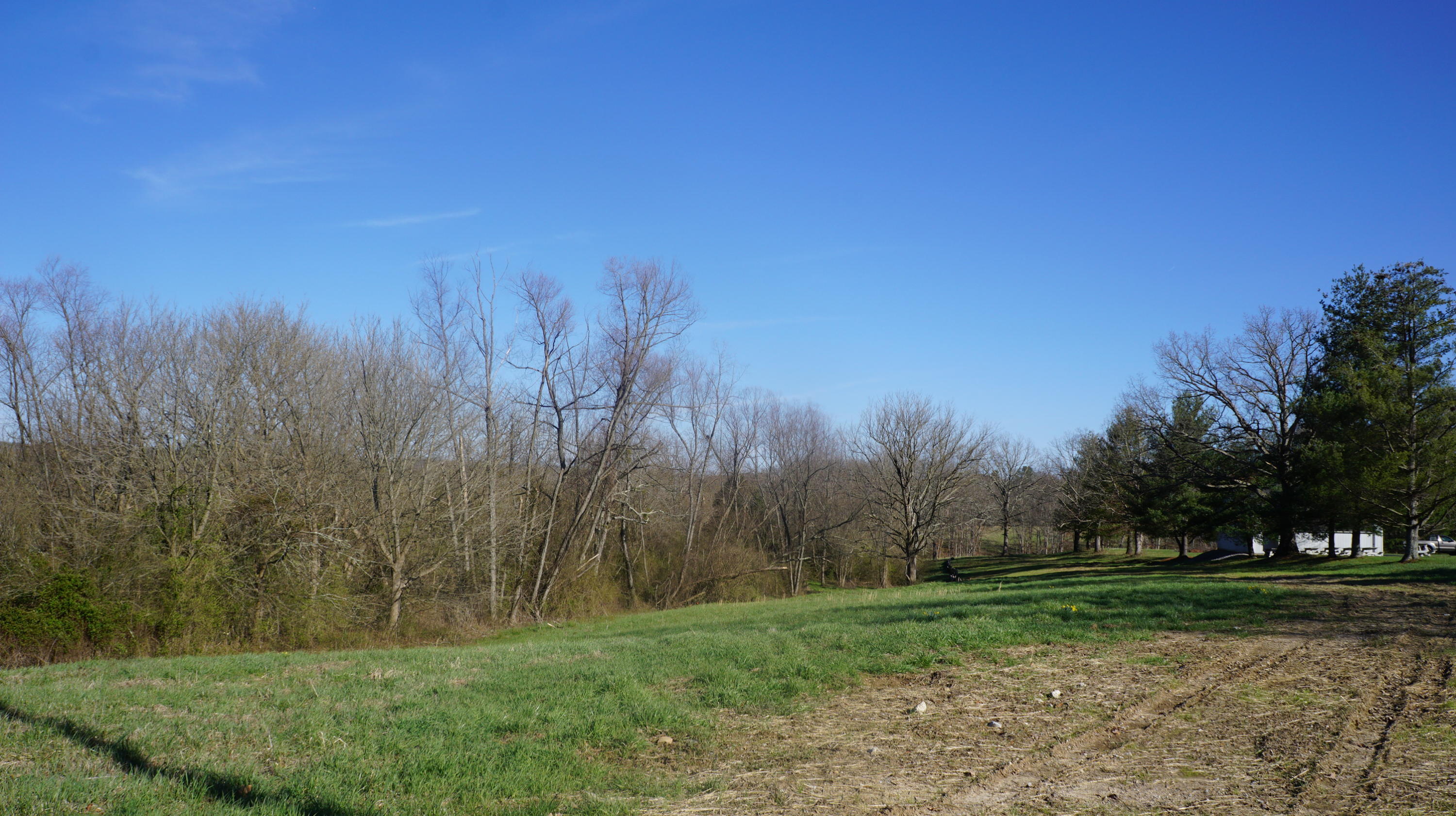 7.4-acres Genesis Road Crossville, TN 38555 - Photo 3 of 30 DSC01400